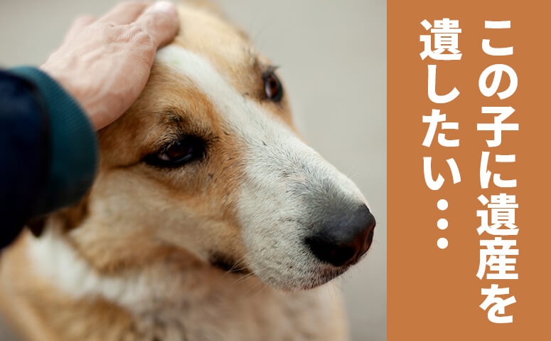 ペットは遺産を受け取れる？<br>飼い主ができる万が一の備え